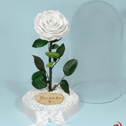 White Eternal Rose in Large Glass Dome made to order