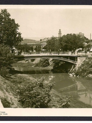 Trikala partial view postcard used