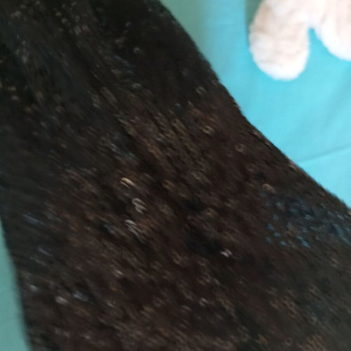 Sinsay sequined pants, black, size S