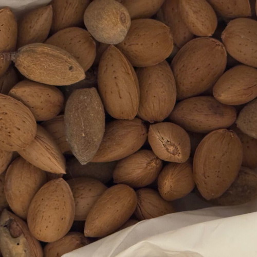 Organic almonds from Crete with shell