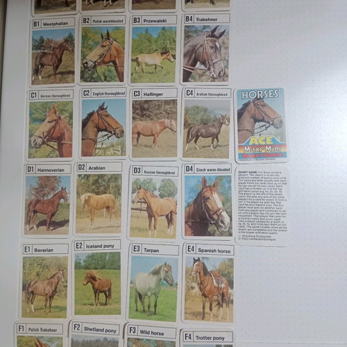 Yperatou Horses Ace Maxi - Mini card game used complete