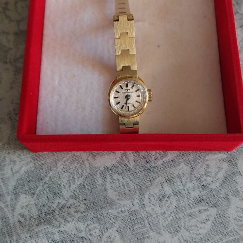 Technos Incabloc women's vintage watch, gold-plated steel
