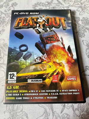 Flat Out PC like new, action adventure game