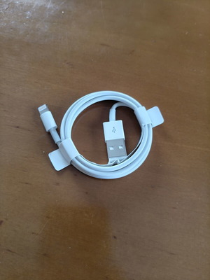 USB A to Lightning cable