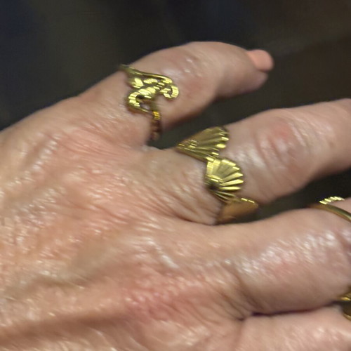 Set of 6 gold-tone stainless steel rings with sea shell designs