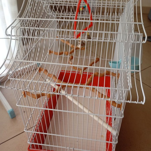 Birdcage with accessories