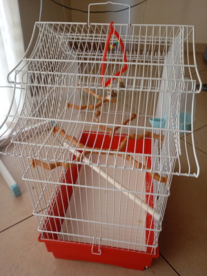 Birdcage with accessories