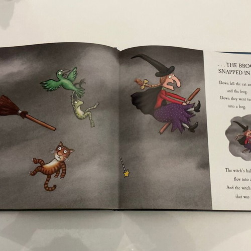 Room On The Broom book used, English