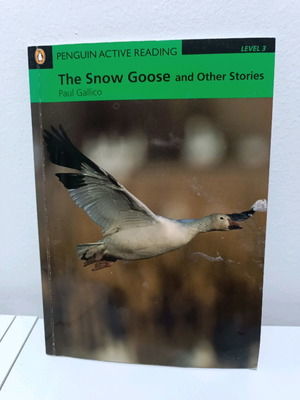 English book with 2 CDs in very good condition
