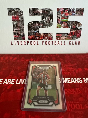 Panini Soccer EPL Prizm James McAtee Silver card new