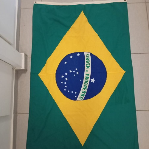 Brazilian flag new