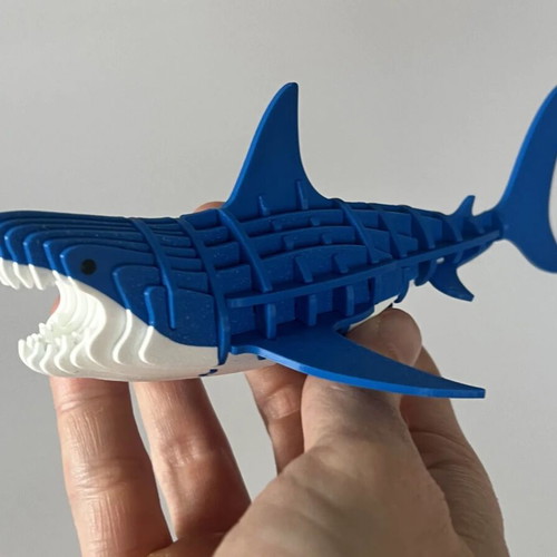 3D Shark puzzle new