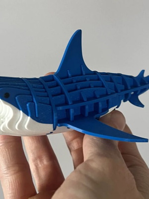 3D Shark puzzle new