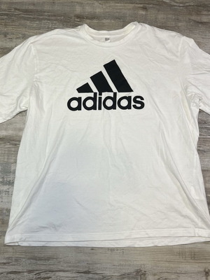 Adidas Mountain Logo T-Shirt white, men's L, used