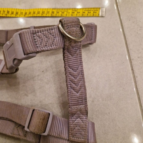 Small Dog Harness used