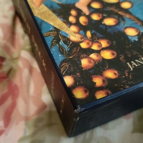 The Lovers' Tarot Deck by Jane Lyle, complete with book, 2005