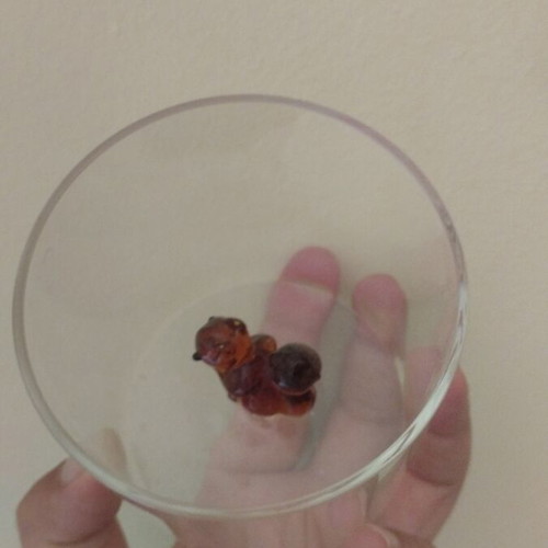 Glass cup new with squirrel decoration