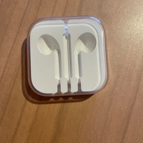 Apple earphones case