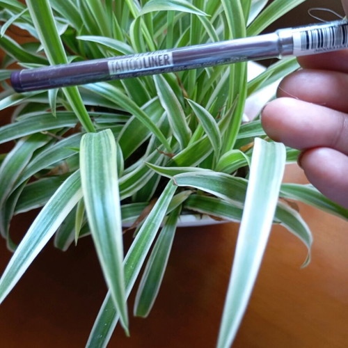 Maybelline Tattoo Liner waterproof eyeliner new