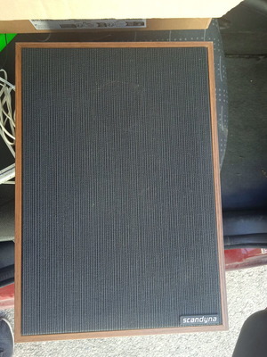 Skandyna floorstanding speakers like new
