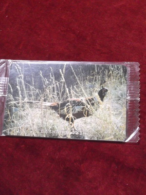 Phone card Greek nature pheasant new, sealed