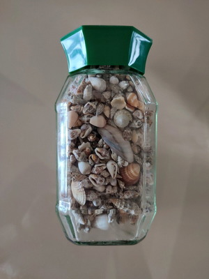 Seashells in jar new large collection