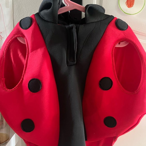 Ladybug costume Zara like new, scuba fabric, size 3-4