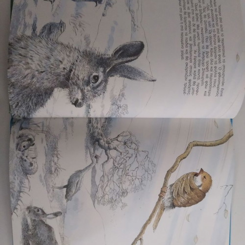 Children's book The restless sparrow used