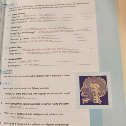 English learning book used