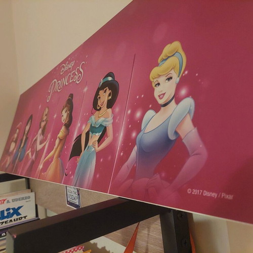 Disney Princesses poster used with 6 princesses