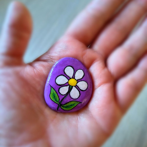 Handpainted decorative painted pebble magnet new