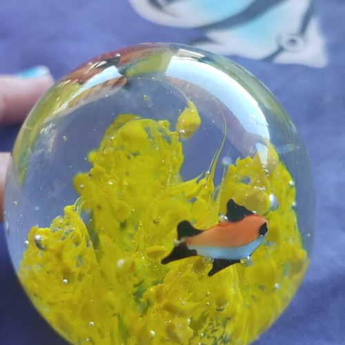 Crystal ball with yellow seaweed and orange black fish new