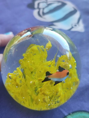 Crystal ball with yellow seaweed and orange black fish new