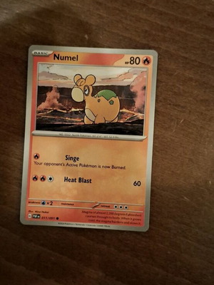 Pokemon Card Numel new
