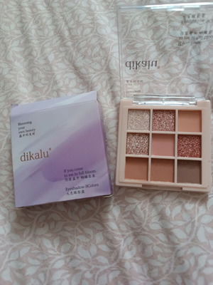 Small eyeshadow palette new with brown nude shades glossy and matte