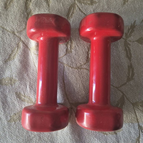 X-FIT dumbbells 1kg each, set of 2