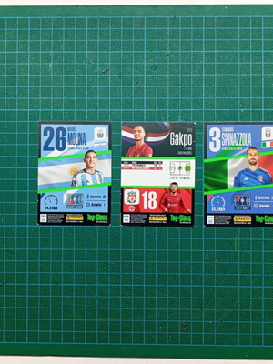 Top Class cards used