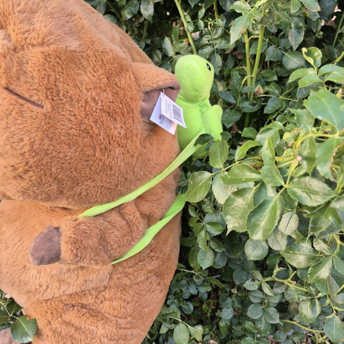 Plush Capybara Toy with Removable Turtle Backpack, 70 cm, New