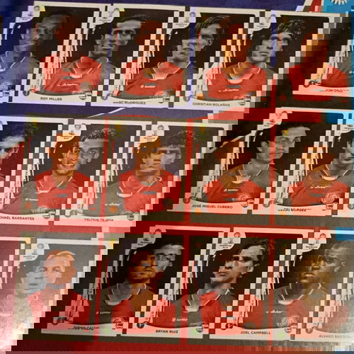 Άλμπουμ Panini World Cup 2014 100% συμπληρωμένο σε εξαιρετική κατάσταση