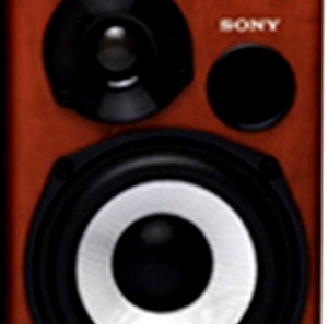ΠΟΛΥΤΕΛΕΣ SET 2  ΞΥΛΙΝΩΝ ΗΧΕΙΩΝ  SONY (75 x 2 watt)