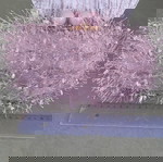  Michelle Moon rose pink feather clutch