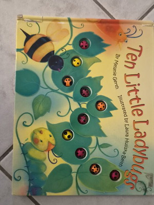 10 Little Ladybugs children's book used