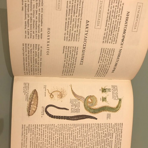 The World of Plants and Animals Volume 1 like new, Biology - Zoology
