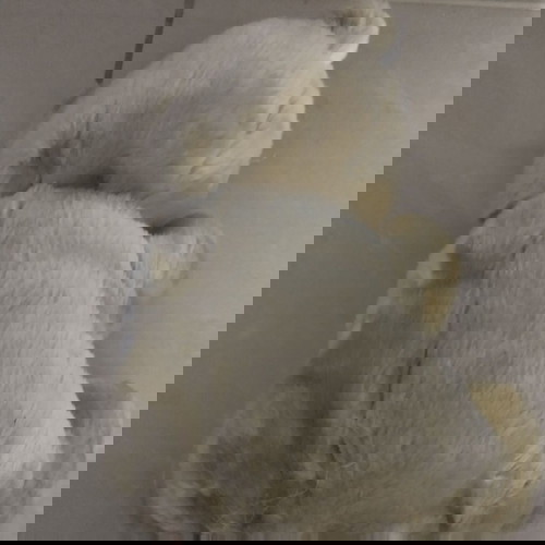 Λούτρινο αρκουδάκι σε άριστη κατάσταση