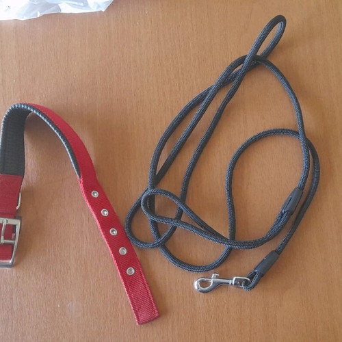 Dog care set like new with leash, bowls, brush, and toys