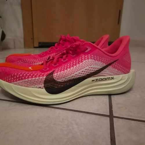 Nike Pegasus Plus running shoes, multicolor, size 44.5