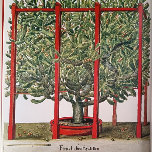 L'herbier Toutes les planches hardcover like new, French