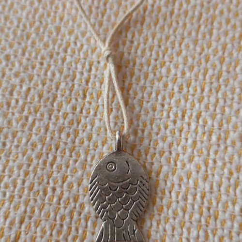 Pendant used in fish shape metal