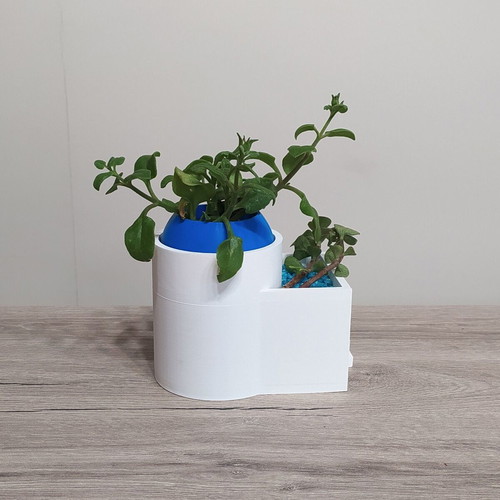 3D Printed Flowerpot with Dome New Summer Decor for Small Plants