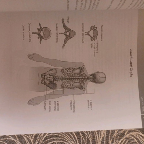 Anatomy 4 like new, unused